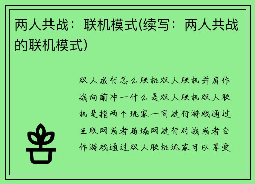 两人共战：联机模式(续写：两人共战的联机模式)